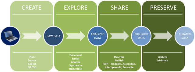 Graphic displaying the phases of research data management research data management phases