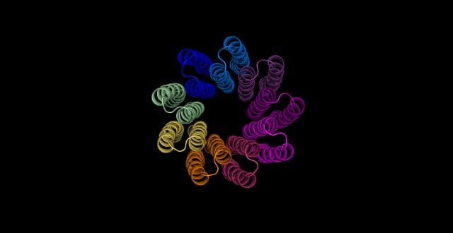 Structure of Fonticula alba ATP synthase c-ring predicted using AlphaFold